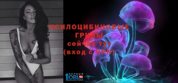 spice Михайловск