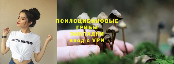 spice Михайловск