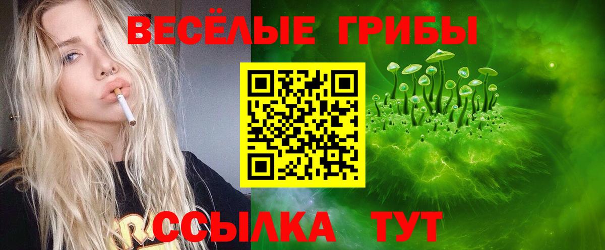 Псилоцибиновые грибы Psilocybe Ижевск