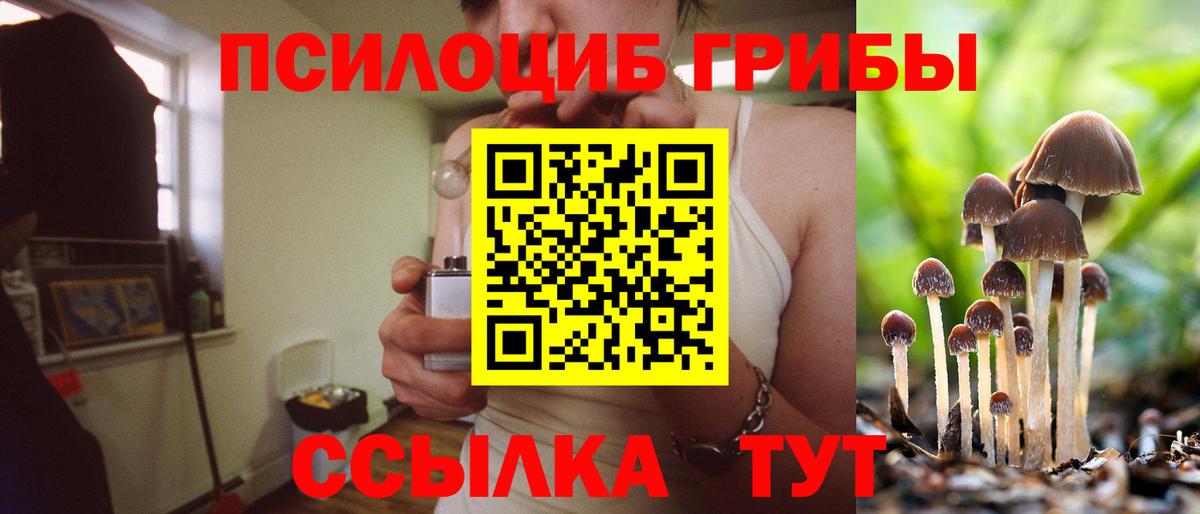 Псилоцибиновые грибы GOLDEN TEACHER  Ижевск 